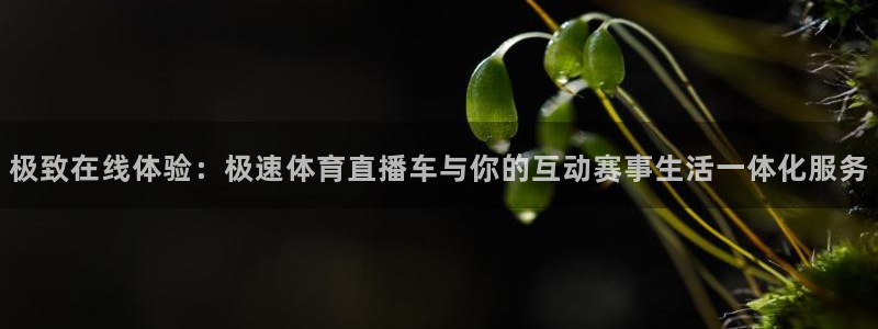 足球直播球神：极致在线体验：极速体育直播车与你的互动赛事生活一体化服务