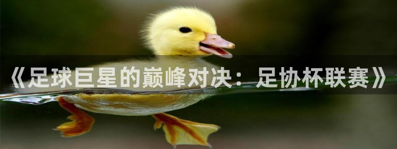 球神直播足球直播