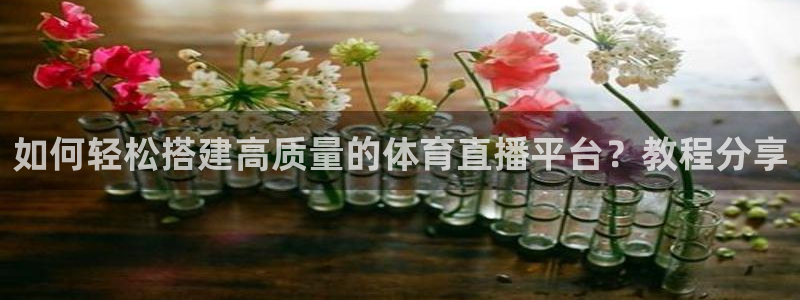 足球球神直播在线观看：如何轻松搭建高质量的体育直播平台？教程分享