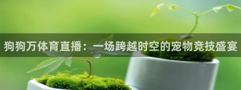 nba直播球神直播：狗狗万体育直播：一场跨越时空的宠物竞技盛宴