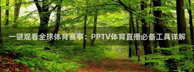 球神直播体育在线观看网站：一键观看全球体育赛事：PPTV体育直播必备工具详解