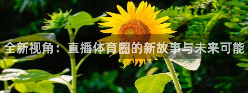 qszb球神直播首页：全新视角：直播体育圈的新故事与未来可能