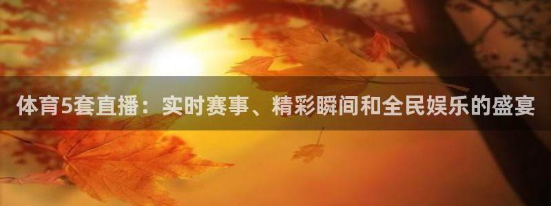 球神直播体育在线：体育5套直播：实时赛事、精彩瞬间和全民娱乐的盛宴