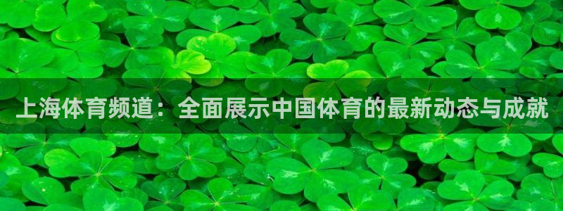 球神直播体育：上海体育频道：全面展示中国体育的最新动态与成就