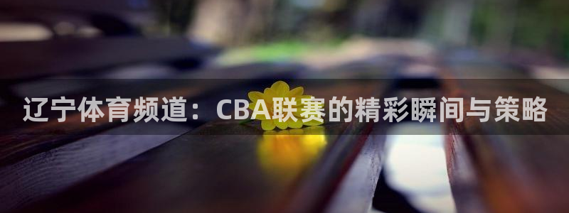 球神直播体育在线观看足球：辽宁体育频道：CBA联赛的精彩瞬间与策略