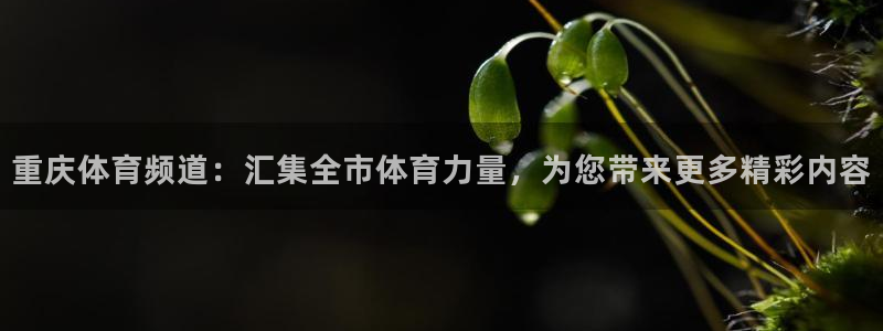 球神足球直播：重庆体育频道：汇集全市体育力量，为您带来更多精彩内容