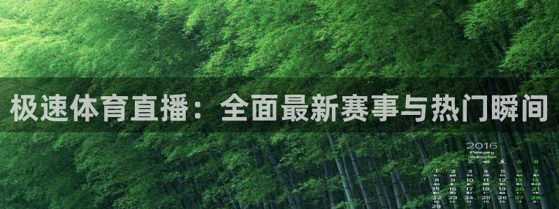 球神看球直播：极速体育直播：全面最新赛事与热门瞬间