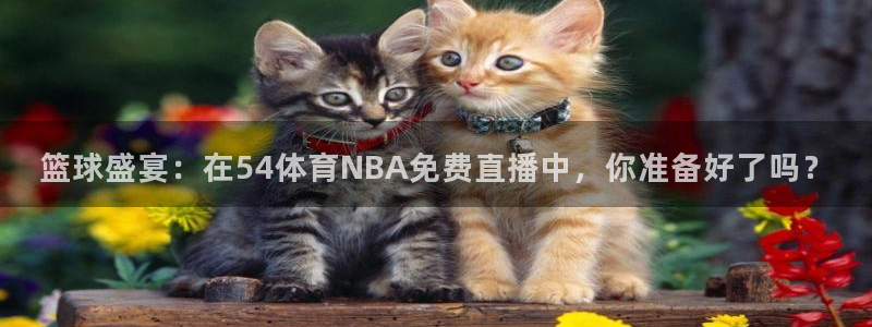 球神体育直播官网：篮球盛宴：在54体育NBA免费直播中，你准备好了吗？